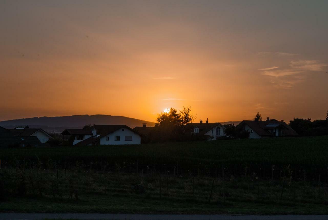 Ferienwohnung Elena Tettnang Bagian luar foto